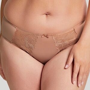NEW Sculptresse Karis Embroidered Mesh Subtle Stripe Brief Panty 10542 Hazel